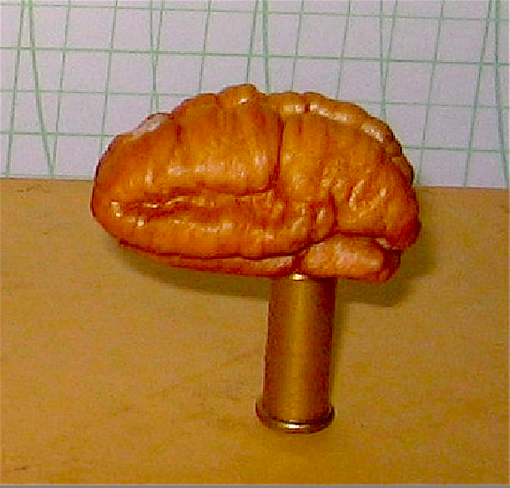 A nutty brain...